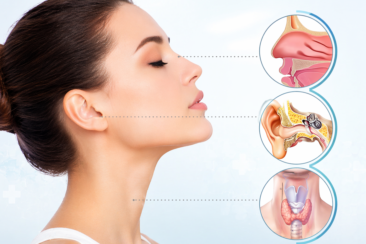 ENT (Ear, Nose & Throat)